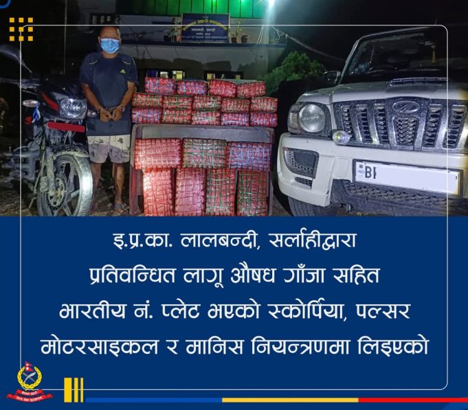 एक गाडी गाँजासहित भारतीय गाडी पक्राउ