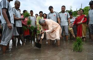 असार १५ मा राष्ट्रपति पौडेलको शीतल निवासमै धान रोपाइँ
