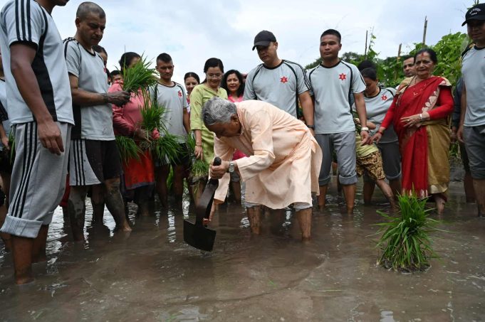 असार १५ मा राष्ट्रपति पौडेलको शीतल निवासमै धान रोपाइँ
