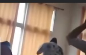 नेकपा बहुमतका कार्यकर्ताबाट अदालतभित्रै कालोमोसो