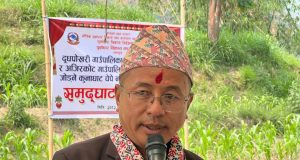 गण्डकी प्रदेशको राइड सेयरिङ नियमावली एक महिनाका लागि स्थगित