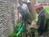 विश्व वातावरण दिवस विभिन्न कार्यक्रम गरी मनाइयो