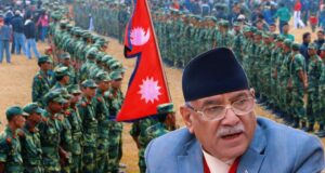 वाईसीएल नेपालद्वारा अर्धसैन्य संरचना पुनः सक्रिय, १६५ निर्वाचन क्षेत्रमा ‘स्पेशल टास्क फोर्स’ परिचालनको तयारी