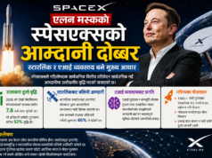 एलन मस्कको स्पेसएक्सको आम्दानी दोब्बर, स्टारलिंक र एआई व्यवसाय बने मुख्य आधार